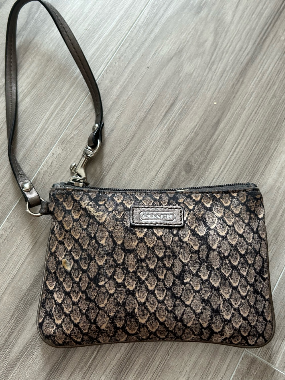 Coach Brown Snake-Print Wristlet